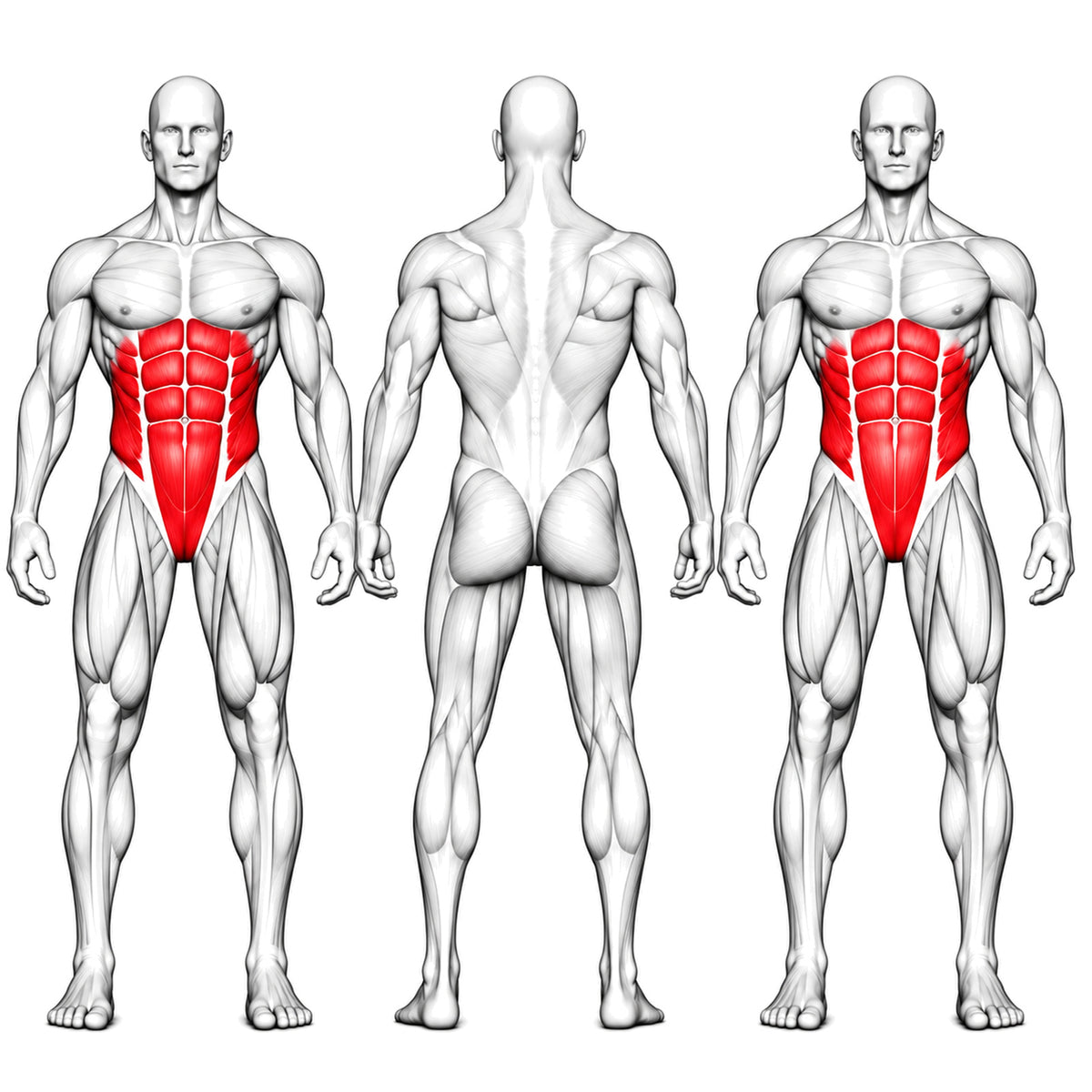 DHZ TITAN Extreme T926 Total Core Crunch – Bauchtrainer für maximale Core-Aktivierung – total core crunch bauchtrainer trainierte muskelgruppen
