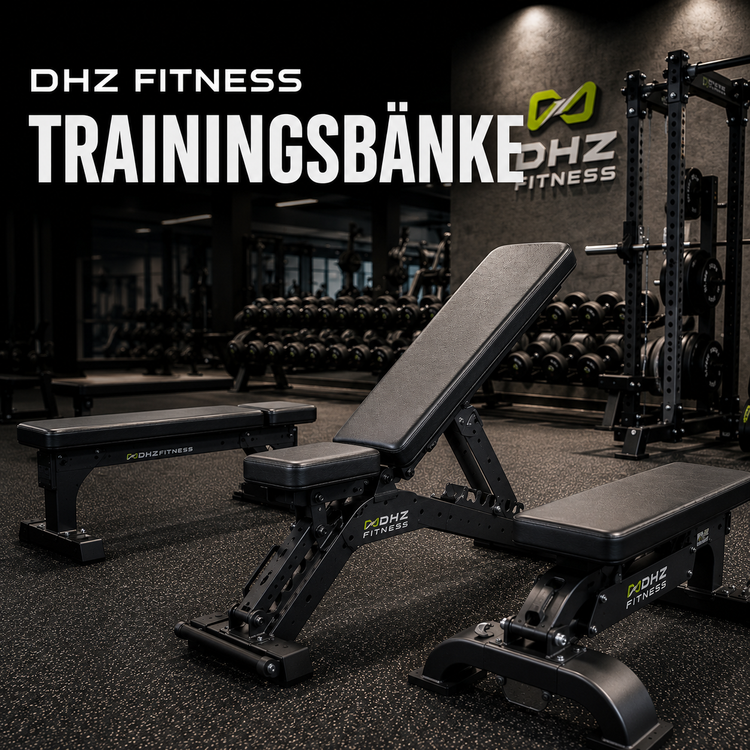 DHZ Fitness Trainingsbänke für Studios