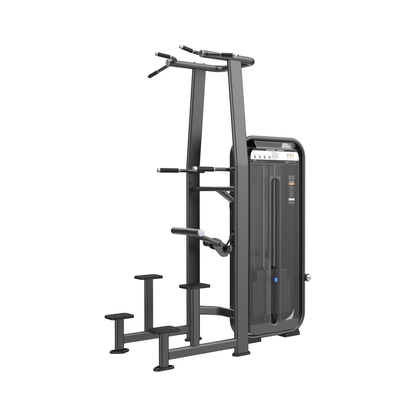 DHZ E7009 Dip Chin Assist Hauptansicht in Black Pearl und Schwarz