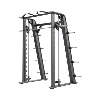 DHZ E7063 Smith Machine Hauptansicht in Black Pearl