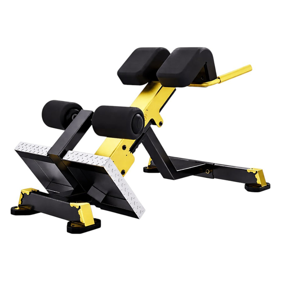 DHZ TITAN Mechanix Y975ZA Back Extension - Plate Loaded Rückenstrecker – back extension schwarz gold hauptansicht
