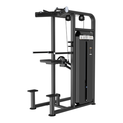 DHZ U2009 Dip Chin Assist Hauptansicht in Black Pearl und Schwarz