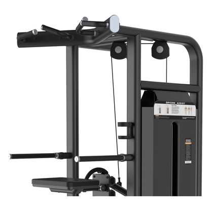 DHZ U2009 Dip Chin Assist Detailansicht von Klimmzuggriffen, Dipgriffen und Umlenkrollen