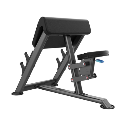 DHZ U2044 Seated Preacher Curl Rückansicht mit Sitz und Verstellung