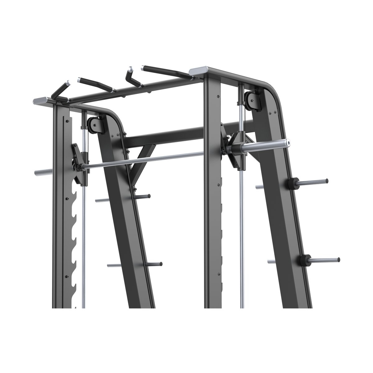 DHZ E7063 Smith Machine Klimmzuggriffe Gegengewicht und Scheibenhalter im Detail