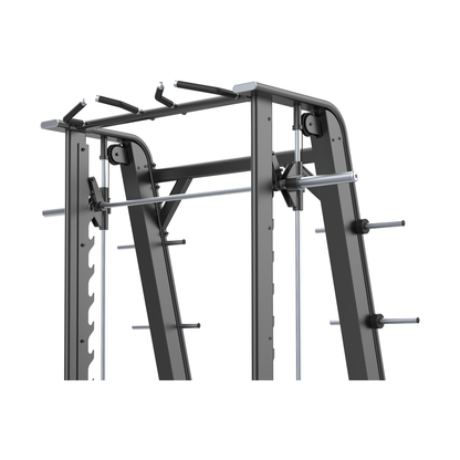DHZ E7063 Smith Machine Klimmzuggriffe Gegengewicht und Scheibenhalter im Detail