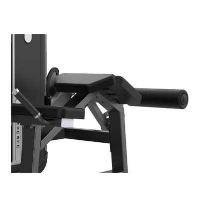 DHZ U3001A Prone Leg Curl – Körperpolster, Unterschenkelrolle und Verstellung im Detail