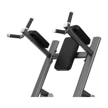 DHZ U2047 Vertical Knees Up Dip Armauflagen und Griffe im Detail