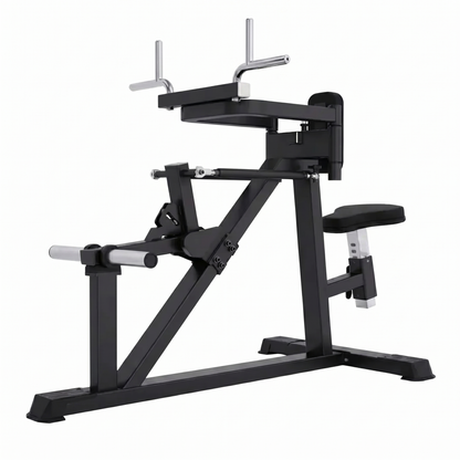 DHZ A618 Seated Deltoid Fly – Professionelle Plate-Loaded Reverse Fly Maschine