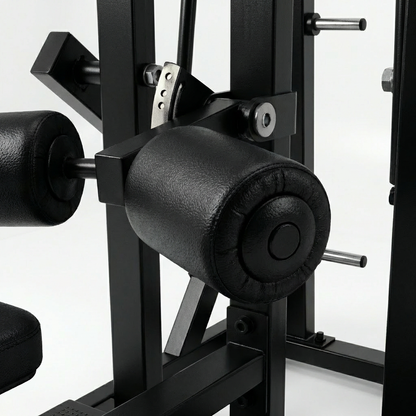 DHZ A622 Circular Lat Pulldown – Professionelle Plate-Loaded Rückenmaschine