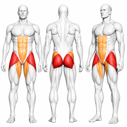DHZ A629 Standing Abductor – Plate Loaded Glute Trainer