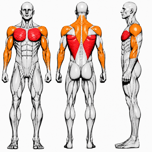 DHZ P-FORCE PM2014 Iso-Lateral Wide Chest Press – Plate Loaded Iso-Laterale Wide-Chest-Brustpresse