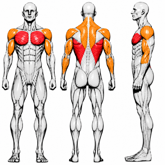 DHZ P-FORCE PM2016 Iso-Lateral Lateral Raise – Plate Loaded Iso-Laterale Seitheben-Maschine