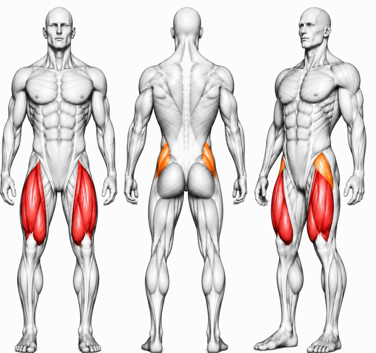 DHZ Y900 Serie Y960 Leg Extension – Plate Loaded Beinstrecker