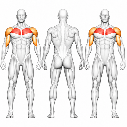 DHZ Fitness DHZ TITAN Mechanix Presse pectorale Y905ZAG - Presse pectorale à plaques