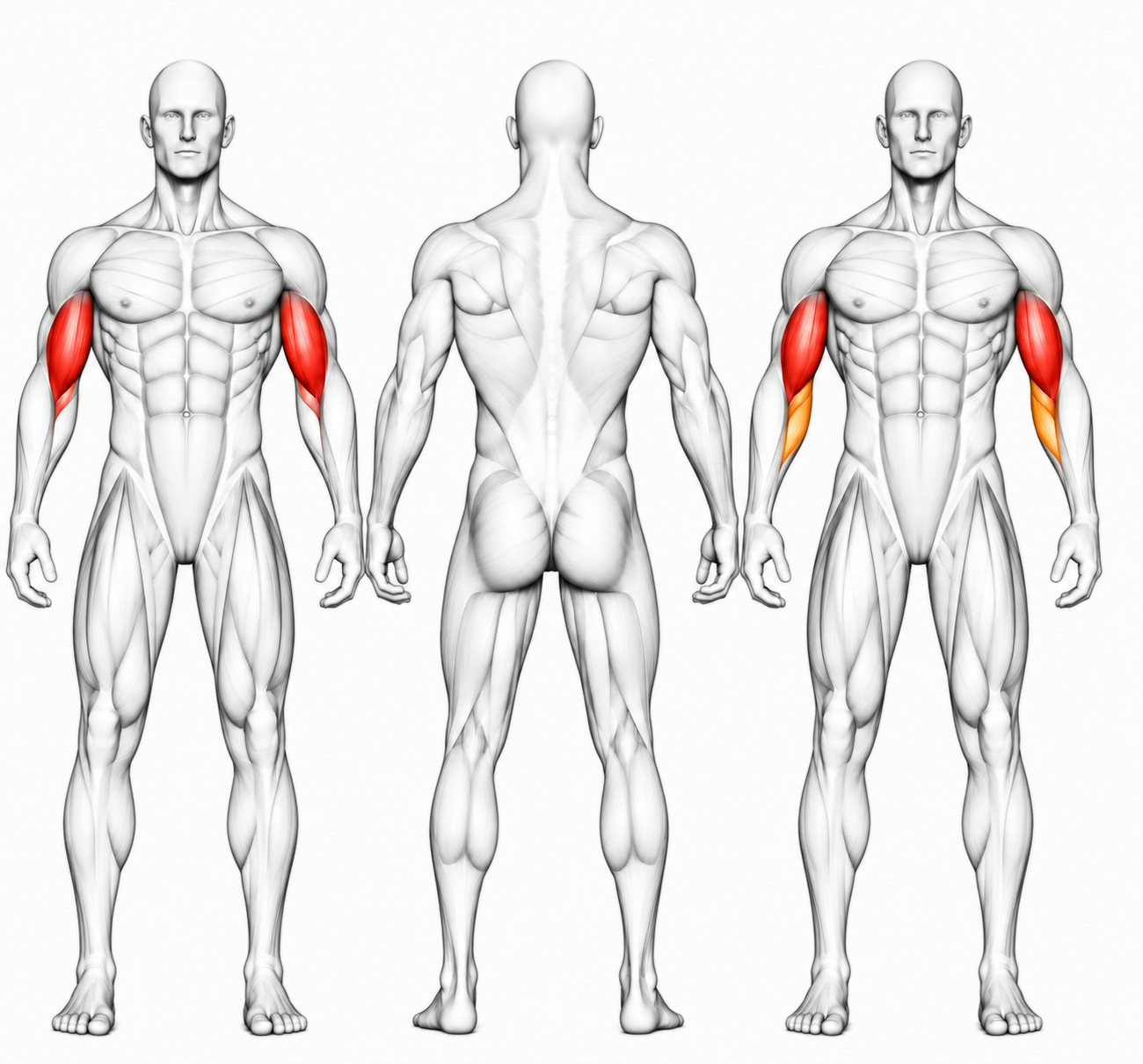DHZ Fitness DHZ TITAN Mechanix Chest Press Y905ZAG - Presă pentru piept cu plăci încărcate