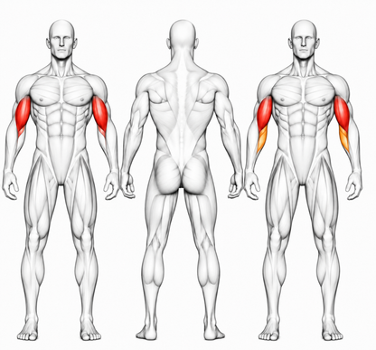 DHZ Fitness DHZ TITAN Mechanix Chest Press Y905ZAG - Presă pentru piept cu plăci încărcate
