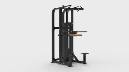 DHZ S-FORCE SM5009 Dual Dip & Chin Assist – assisterad dips- och chinsmaskin för gym